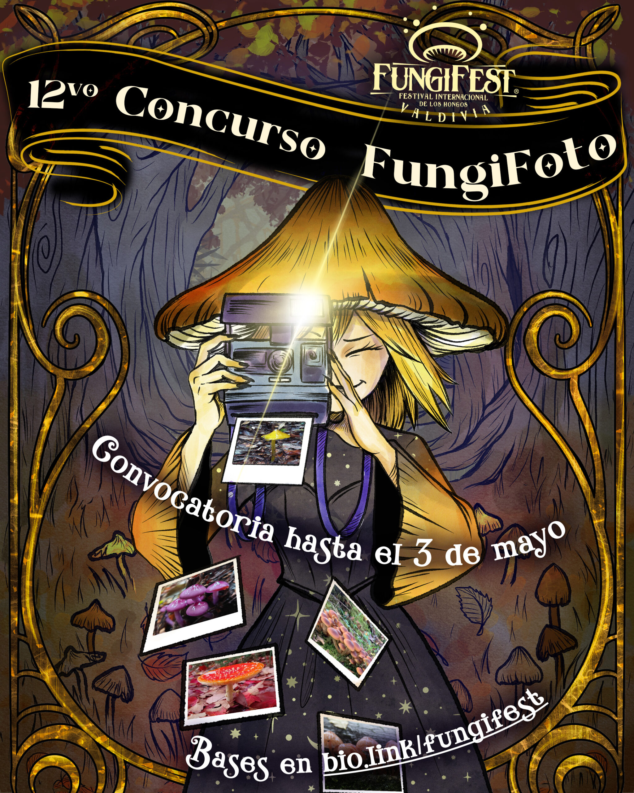 12_fungifoto 12_fungifoto